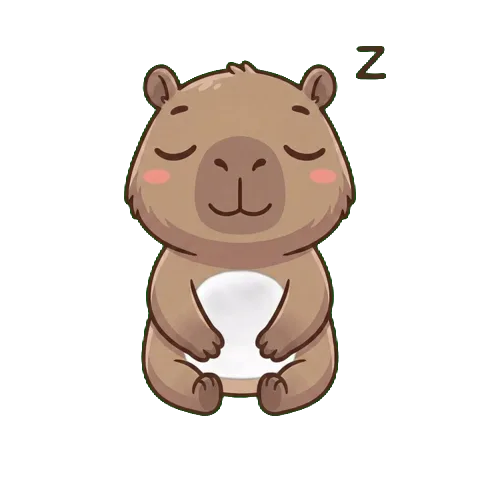Capi sleeping