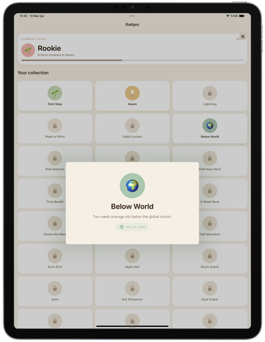 FlushFit badges collection on iPad