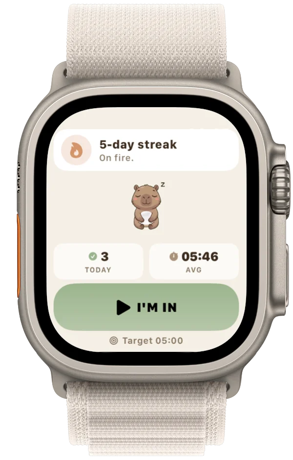 FlushFit on Apple Watch — idle